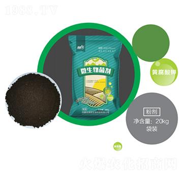 ΢��������ۄ�-��(r��n)������