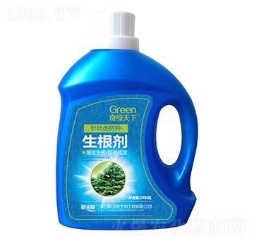 針葉類(lèi)樹(shù)種生根劑-奇綠天下-中根生物