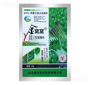 萵筍萵苣三控粗嫩長(zhǎng)-金窩窩-中根生物