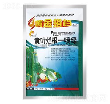 黃葉爛根一噴綠-黃金搭檔-中根生物