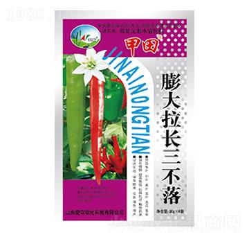 膨大拉長(zhǎng)三不落-甲田-中根生物
