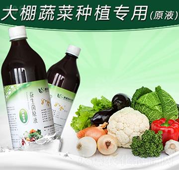 如金大棚蔬菜種植專用益生菌原液-綠洲生物