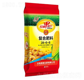 �t�������(f��)�Ϸ�28-6-8-�M(m��n)̩����