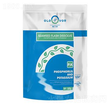 �����W����⛾�-�W�m��