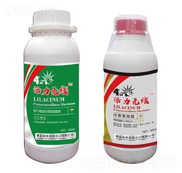 �������߾�+��Ч����-�����o��-�����r(n��ng)