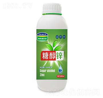 �Ǵ��\-�пƝ�(r��n)���S