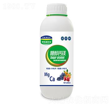 �Ǵ��}�V-�пƝ�(r��n)���S