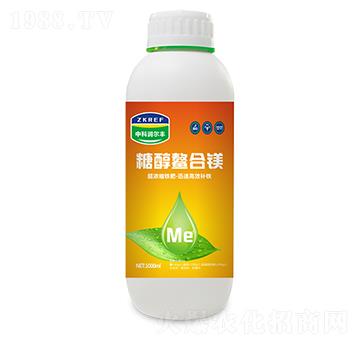 �Ǵ������V-�пƝ�(r��n)���S