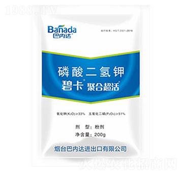 200g��������-�̿�-�̓�(n��i)�_