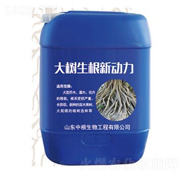 大樹生根新動力-中根生物