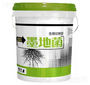 ī�ؾ�����������-���S����