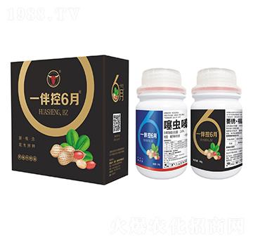 花生拌種劑-一伴控6月-德國公牛