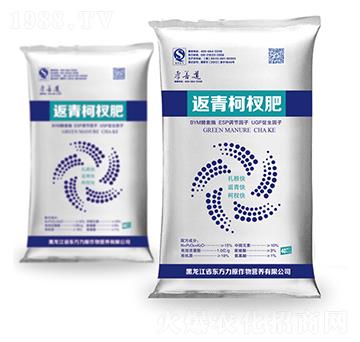 返青柯杈肥-孝善道-東方力原