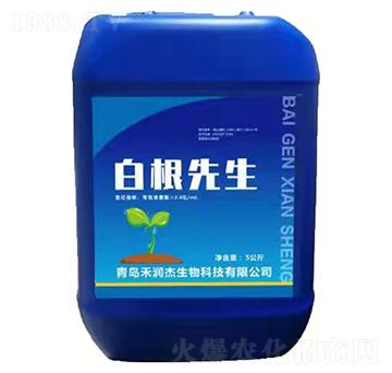 白根先生-悅地豐