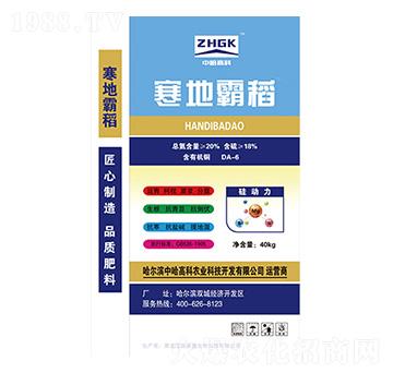 ���ذԵ�-�й��߿�