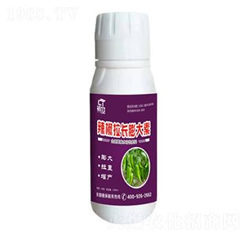 辣椒拉長(zhǎng)膨大素-初唐-睿之澤