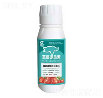 ��ݮӲ����-����-�֮��