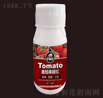 番茄果靚紅-航農(nóng)農(nóng)業(yè)