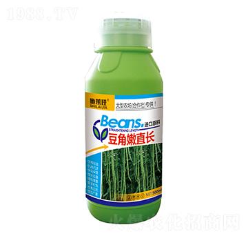 豆角嫩直長(zhǎng)-施萊佳-盈豐農(nóng)業(yè)