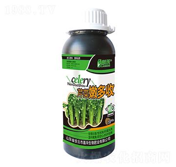 芹菜嫩多收-施萊佳-盈豐農業(yè)