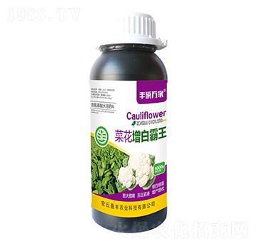 菜花增白霸王-豐碩萬(wàn)家-盈豐農(nóng)業(yè)