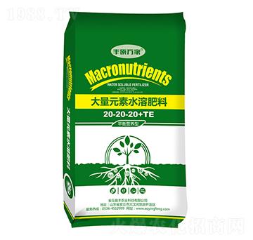 平衡營(yíng)養(yǎng)型大量元素水溶肥料20-20-20+TE-豐碩萬(wàn)家-盈豐農(nóng)業(yè)