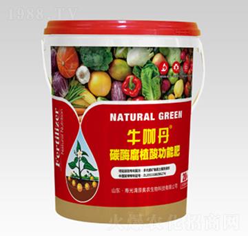 碳酶腐殖酸功能肥-?？У?清原奧農(nóng)