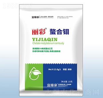 ���������f-�ڰ�