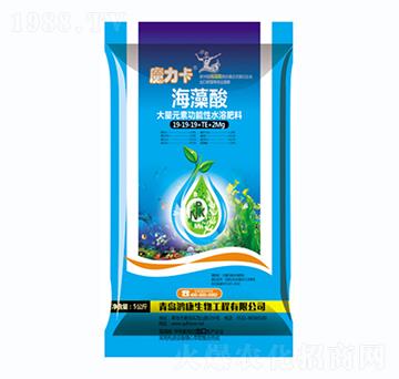 大量元素功能性水溶肥料19-19-19+TE+2Mg-魔力卡海藻酸-鴻康生物