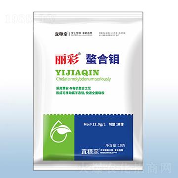 ���������f-�ڰ�