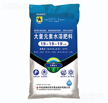 顆粒型大量元素水溶肥19-19-19+TE-紅四方
