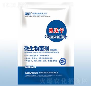 500g΢�������-���֌�-�ڰ�