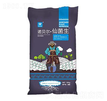 ΢�������-�Zؐ�����ɾ���-������