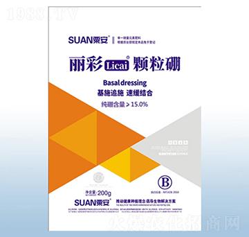 �����w����-�ڰ�