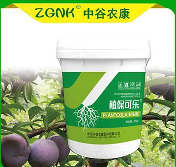 ������-ֲ���ɘ�(l��)-�й��r(n��ng)��