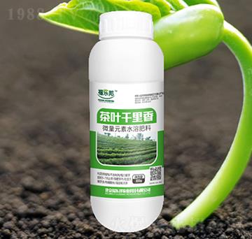 微量元素水溶肥料-茶葉千里香-福樂邦