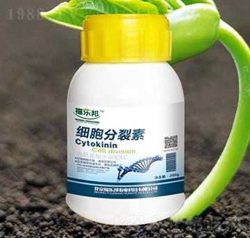 ��(x��)��������-������