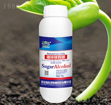 ���\�F�}�V-����(l��)��