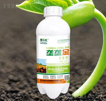 �ŉŽ�-������