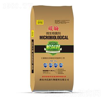 ̼ø΢�������-ʥ�ϝ�