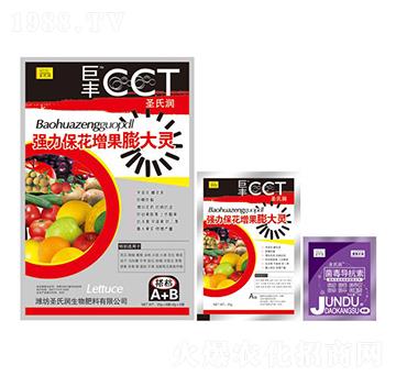 ��(qi��ng)��������������`-ʥ�ϝ�(r��n)