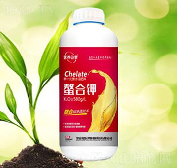 �I�B(y��ng)�ļ�-�����-������