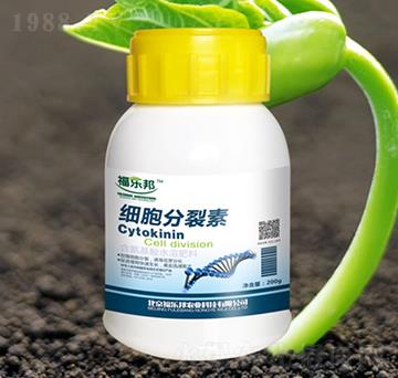 200g��(x��)��������-������