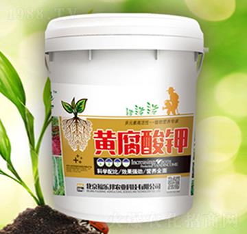 �S�����-����(l��)��