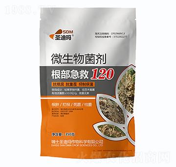 微生物菌劑-根部急救120-圣迪瑪-一撒寶來