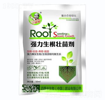 �����������焩-�ļ��S