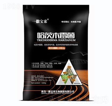 ����ľù��-һ������(l��i)