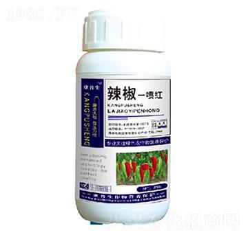 辣椒一噴紅-康普生