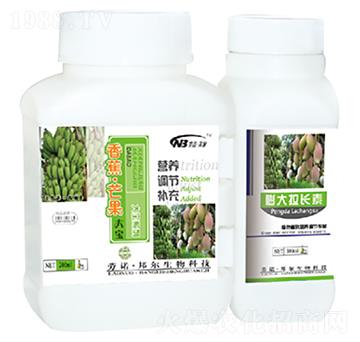 香蕉·芒果大寶-康普生