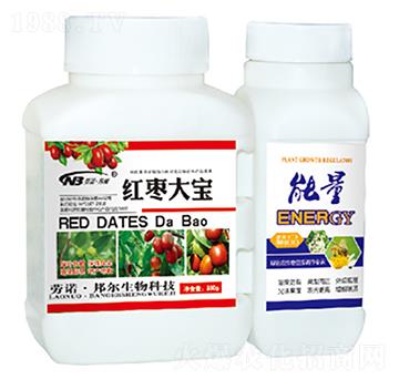 紅棗大寶+能量-康普生